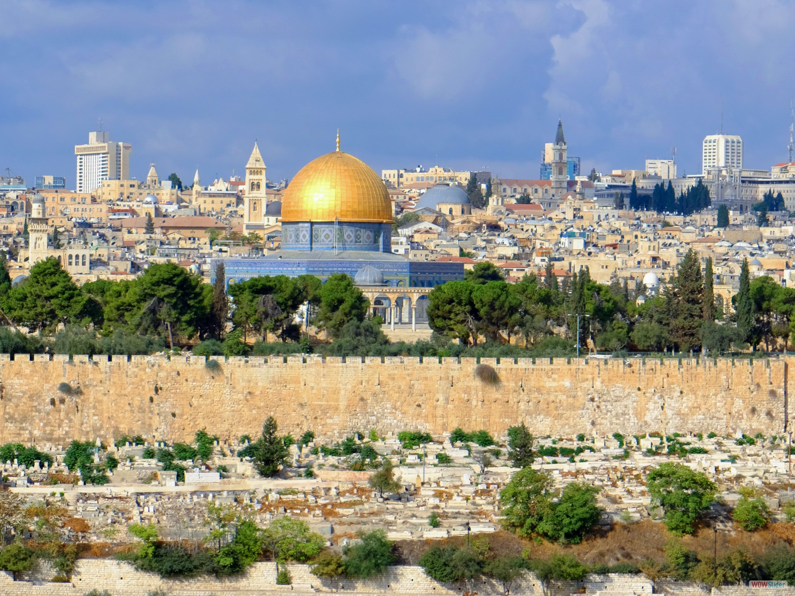 iStock_54973968_LARGE